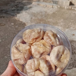 محصول نمونه 10