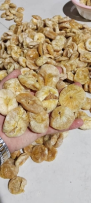 محصول نمونه 8