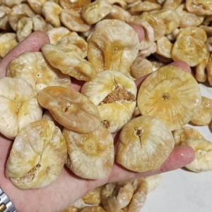 محصول نمونه 8