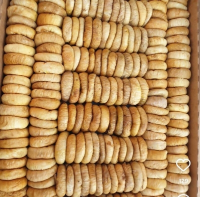 محصول نمونه 5