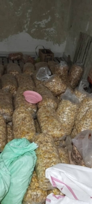 محصول نمونه 1